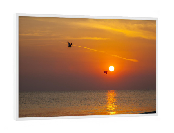 Poster mit weißem Rahmen "Flug in den Morgen" artboxONE - Natur,Reise,Tiere - Sonnenaufgang,Möve,Meer,Stimmung,Natur