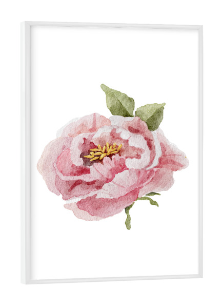 Poster mit weißem Rahmen "Druckbare Pfingstrosenkunst" artboxONE - Floral