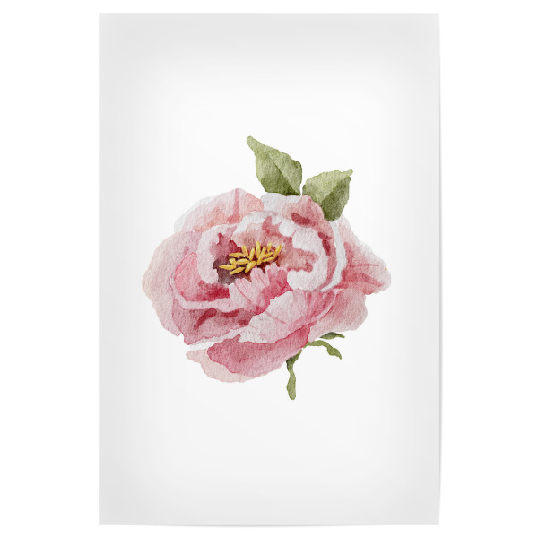 Poster 30x20 cm "Druckbare Pfingstrosenkunst" artboxONE - Floral