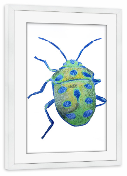 Poster mit Rahmen weiß "Grünblauer Käfer" artboxONE - Tiere - Tier,Beetle,Illustration,Animal,Tierportrait,Käfer