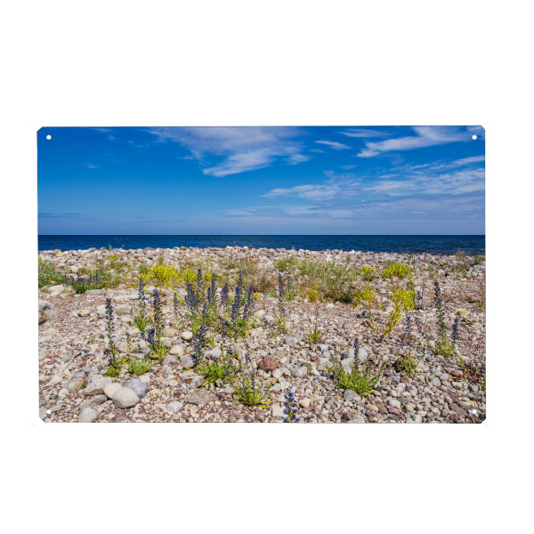Holzbild "Geröll, Strand, Ostsee" artboxONE - Natur,Reise,Reise / Strand und Meer,Reise / Länder