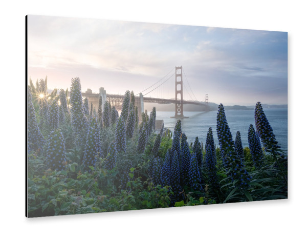 Alu-Dibond "Präsidium" 30x20 cm artboxONE