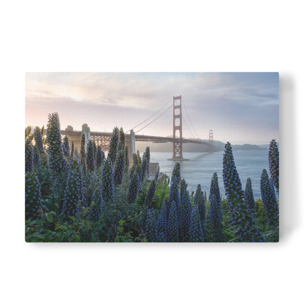 Leinwandbild "Präsidium" artboxONE - Städte,Reise,Architektur,Reise / Länder,Städte / San Francisco
