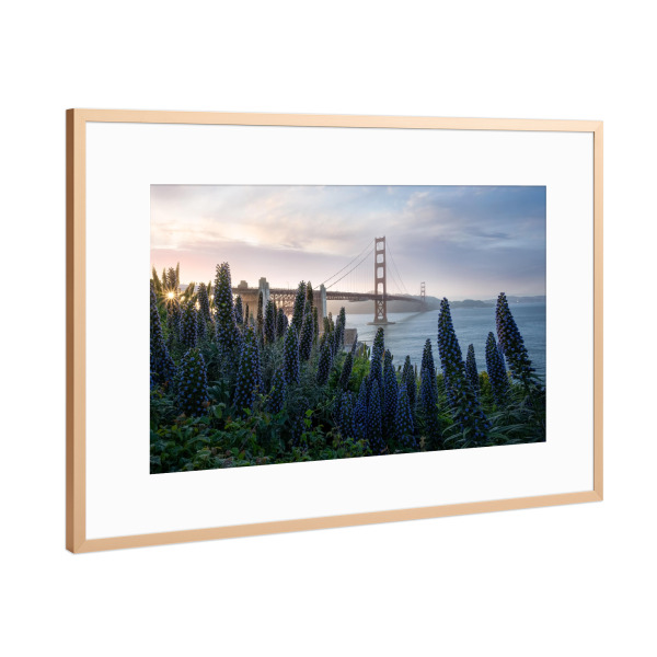 Poster mit Rahmen Kupfer "Präsidium" artboxONE - Städte,Reise,Architektur,Reise / Länder,Städte / San Francisco