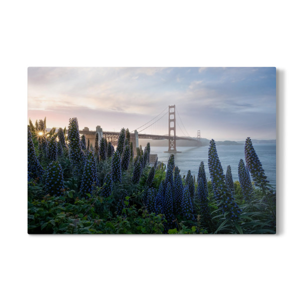 Galerie-Print "Präsidium" 30x20 cm artboxONE