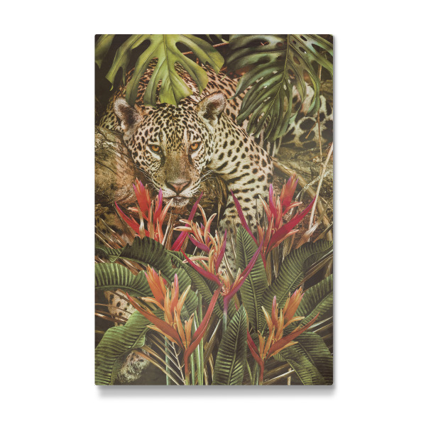 Galerie-Print "Jaguar zu Hause" 30x20 cm artboxONE