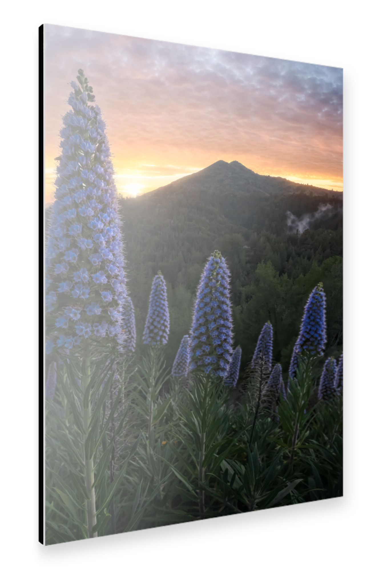 Alu-Dibond "Stolz Madeiras" 30x20 cm artboxONE