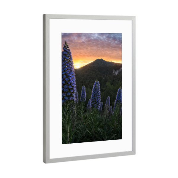 Poster mit Rahmen Silber "Stolz Madeiras" artboxONE - Natur,Reise,Floral,Reise / Länder