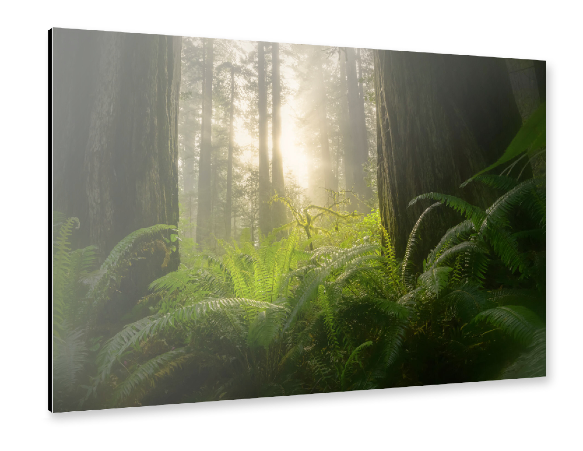 Alu-Dibond "Verdammnisbach" 30x20 cm artboxONE