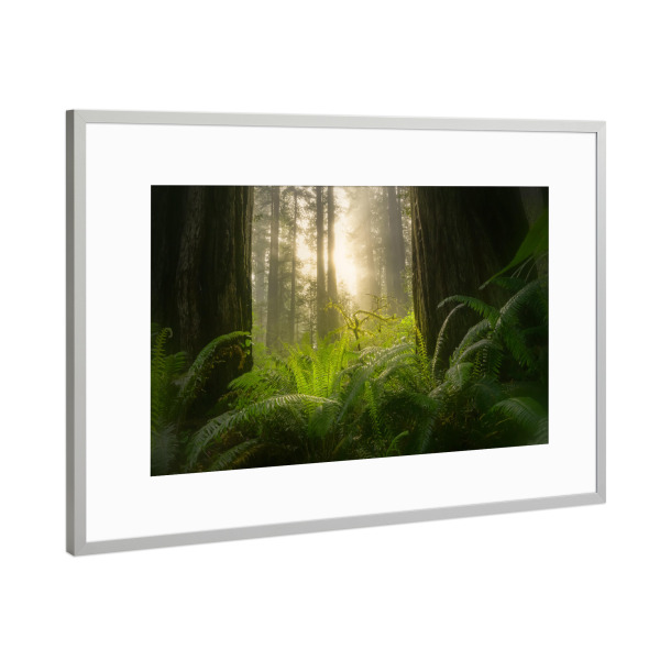 Poster mit Rahmen Silber "Verdammnisbach" artboxONE - Natur,Reise,Reise / Länder