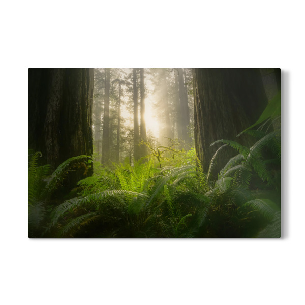 Galerie-Print "Verdammnisbach" 30x20 cm artboxONE