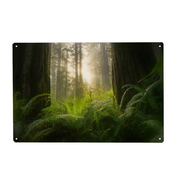 Metall Poster "Verdammnisbach" artboxONE - Natur,Reise,Reise / Länder