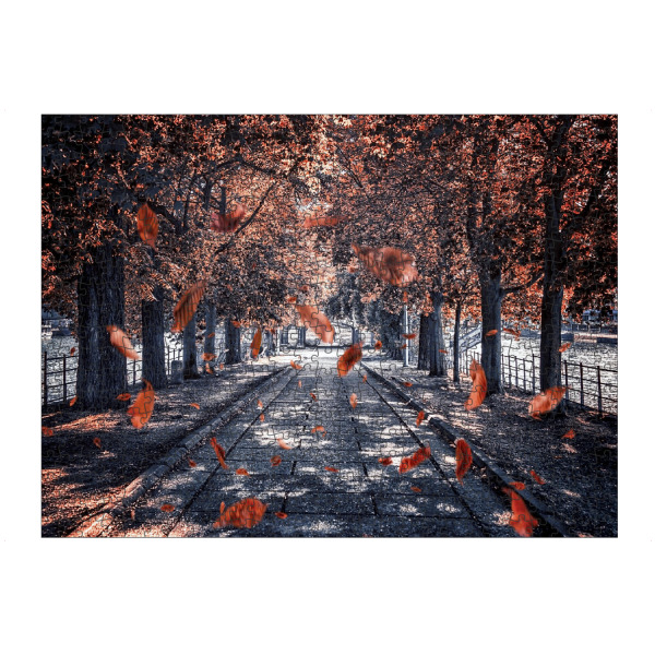 Puzzle Ravensburger "Die fallenden Blätter" artboxONE - Städte,Natur,Reise,Städte / Paris,Reise / Länder