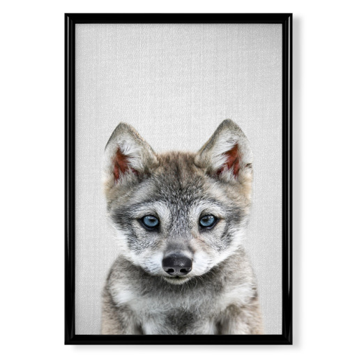 Baby-Wolf - bunt