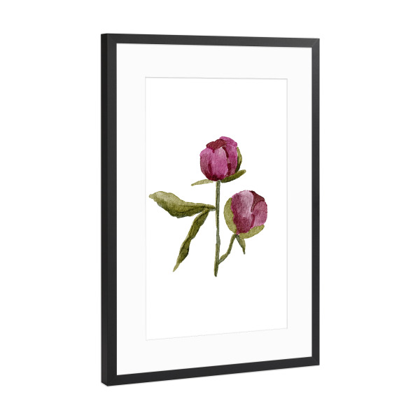 Poster mit Rahmen Schwarz (Metallic) "Lila Pfingstrose" artboxONE - Floral - Aquarell,Blumen,Pfingstrose,Hochzeit,Boho,Floral,Pflanze,Blume