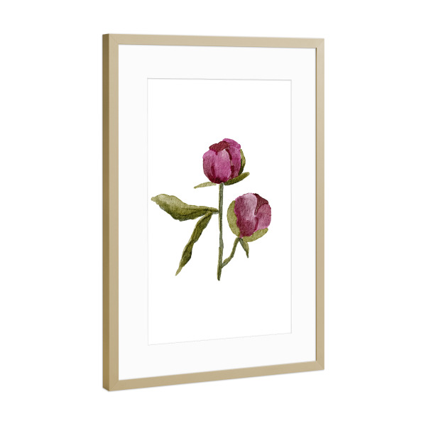 Poster mit Rahmen Gold "Lila Pfingstrose" artboxONE - Floral - Aquarell,Blumen,Pfingstrose,Hochzeit,Boho,Floral,Pflanze,Blume