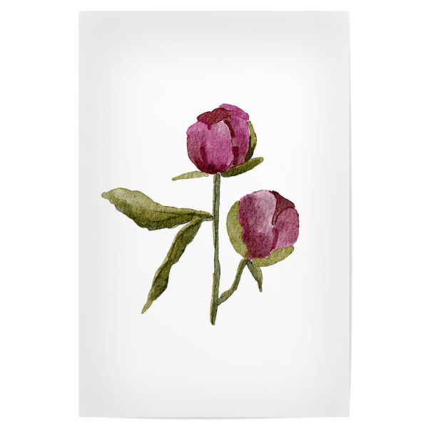 Poster "Lila Pfingstrose" artboxONE - Floral - Aquarell,Blumen,Pfingstrose,Hochzeit,Boho,Floral,Pflanze,Blume