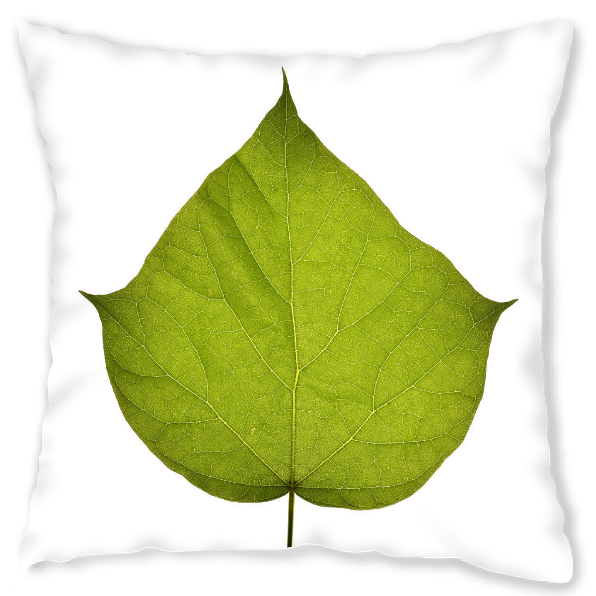 Design-Kissen "Catalpa bignonioides" artboxONE - Natur,Floral
