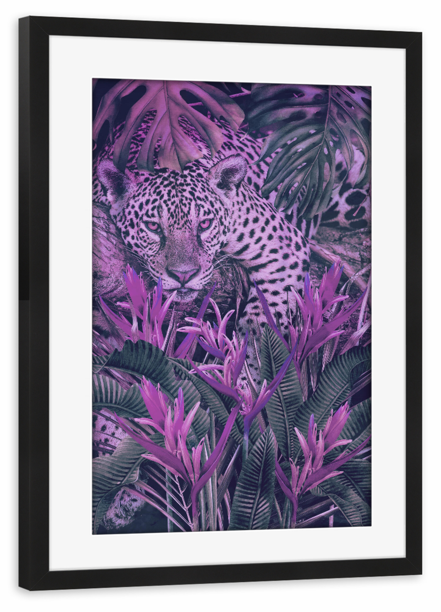 Poster mit Rahmen schwarz "Rosa Jaguar zu Hause" artboxONE - Natur,Floral,Tiere