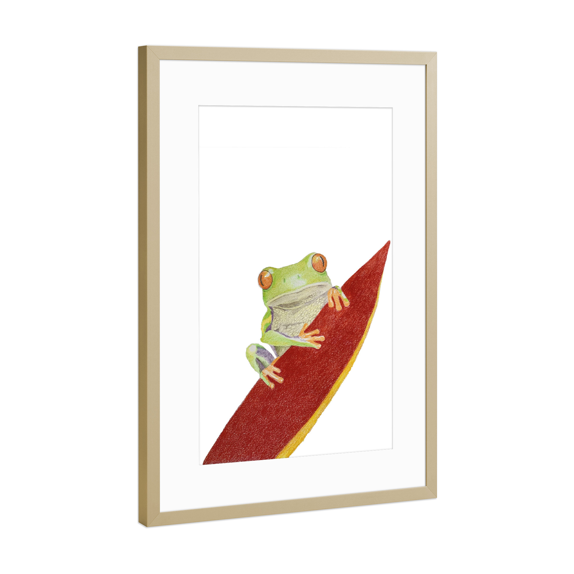 Poster mit Rahmen Gold "Tropen-Frosch" artboxONE - Tiere - Frog,Frosch,Animal,Tier,Tierportrait,Illustration,Buntstift