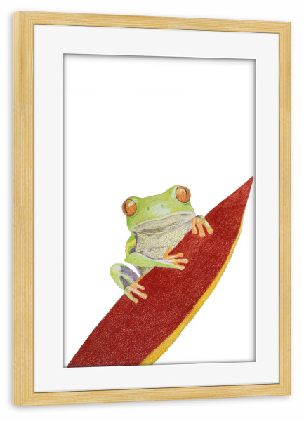 Poster mit Rahmen kiefer "Tropen-Frosch" artboxONE - Tiere - Frog,Frosch,Animal,Tier,Tierportrait,Illustration,Buntstift