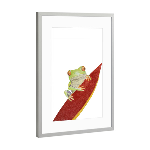 Poster mit Rahmen Silber "Tropen-Frosch" artboxONE - Tiere - Frog,Frosch,Animal,Tier,Tierportrait,Illustration,Buntstift