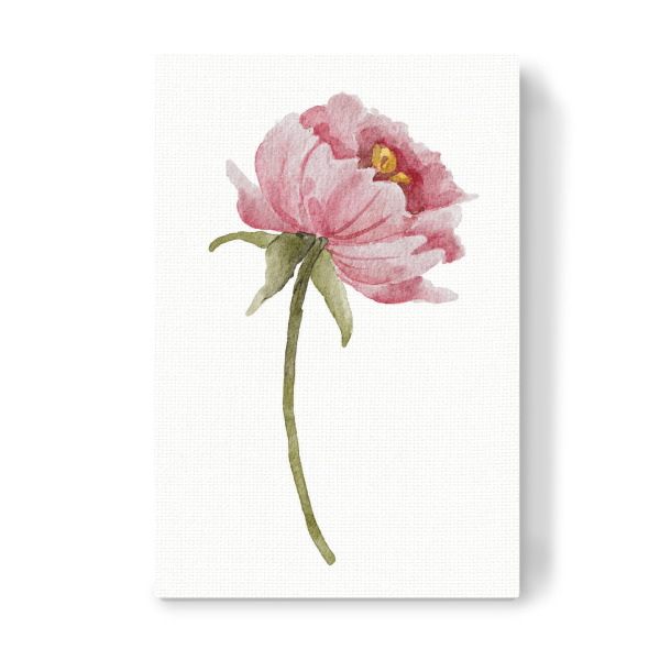 Leinwandbild "Pfingstrose rosa Blume" artboxONE - Floral