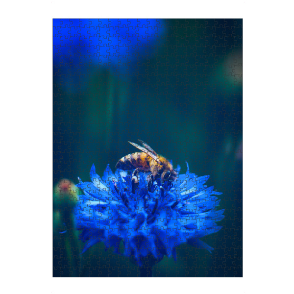 Puzzle Ravensburger "Fleißiges Bienchen" artboxONE - Natur,Tiere - Insekt,Biene,Kornblume,Blau,Bienen,Honigbiene,Umweltschutz,Blume,Blüte