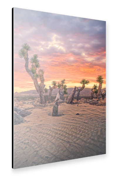 Alu-Dibond "Josua Sonnenuntergang" 30x20 cm artboxONE