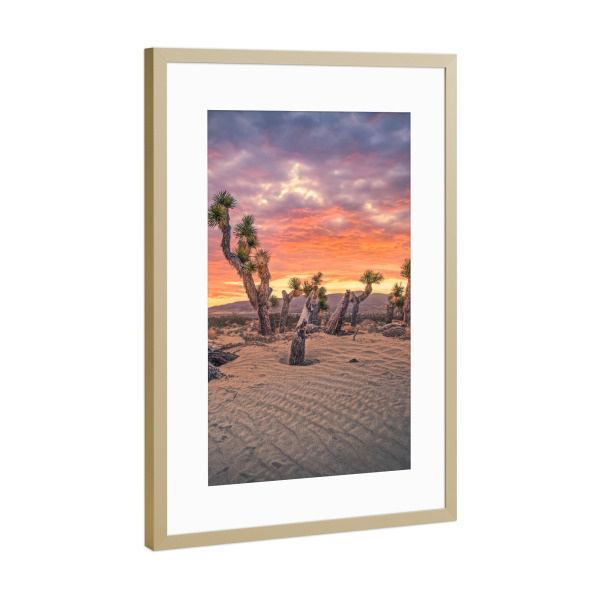 Poster mit Rahmen Gold "Josua Sonnenuntergang" artboxONE - Natur,Reise,Reise / Länder,Für Mama,Für Papa
