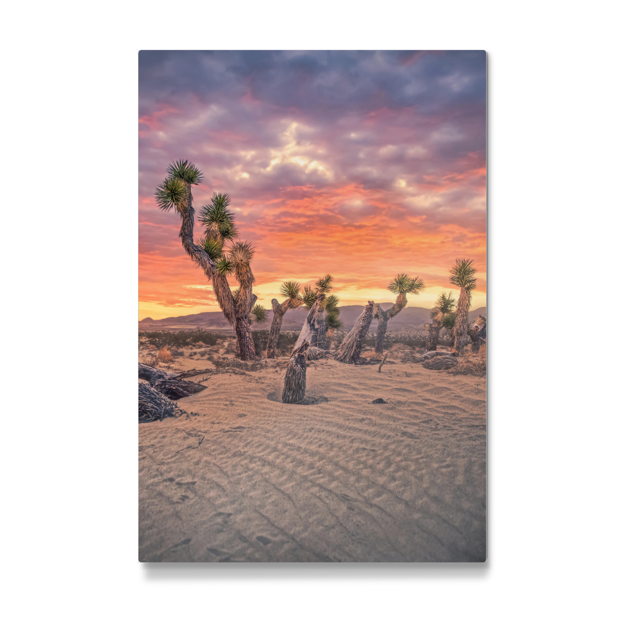 Galerie-Print "Josua Sonnenuntergang" 75x50 cm artboxONE