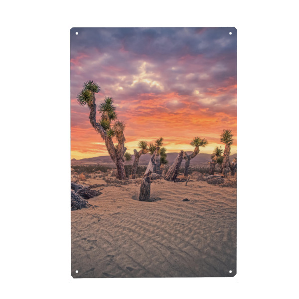 Metall Poster "Josua Sonnenuntergang" artboxONE - Natur,Reise,Reise / Länder,Für Mama,Für Papa