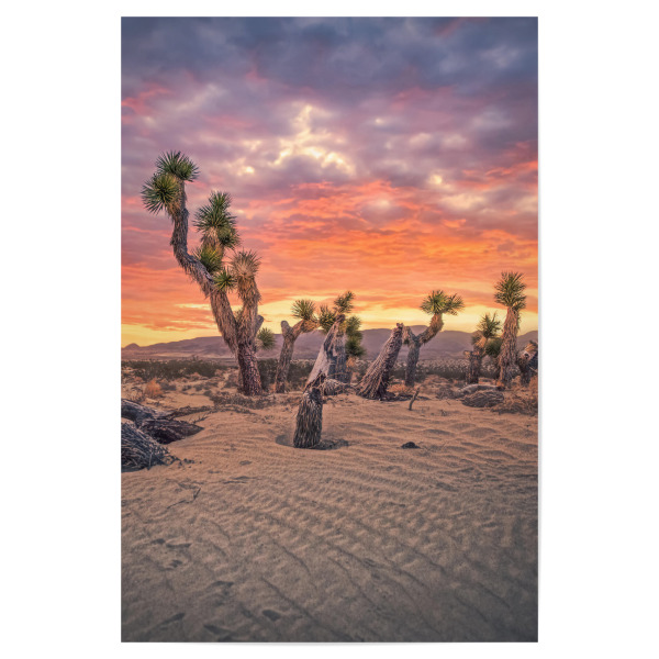 Poster 30x20 cm "Josua Sonnenuntergang" artboxONE - Natur,Reise,Reise / Länder,Für Mama,Für Papa