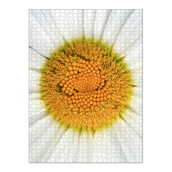 Puzzle Ravensburger "Magaritenblüte" artboxONE - Natur,Floral