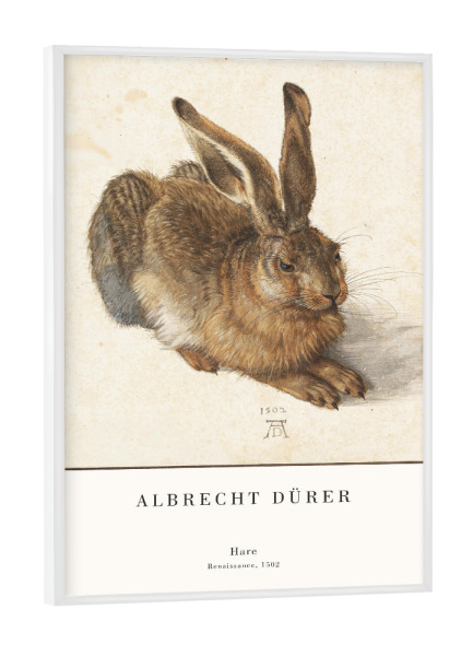 Poster mit weißem Rahmen "Dürer - Der Hase" artboxONE - Natur,Tiere - Hase,Kaninchen,Feldhase,Natur,Tier,Dürer,Kunst,Malerei,Gemälde