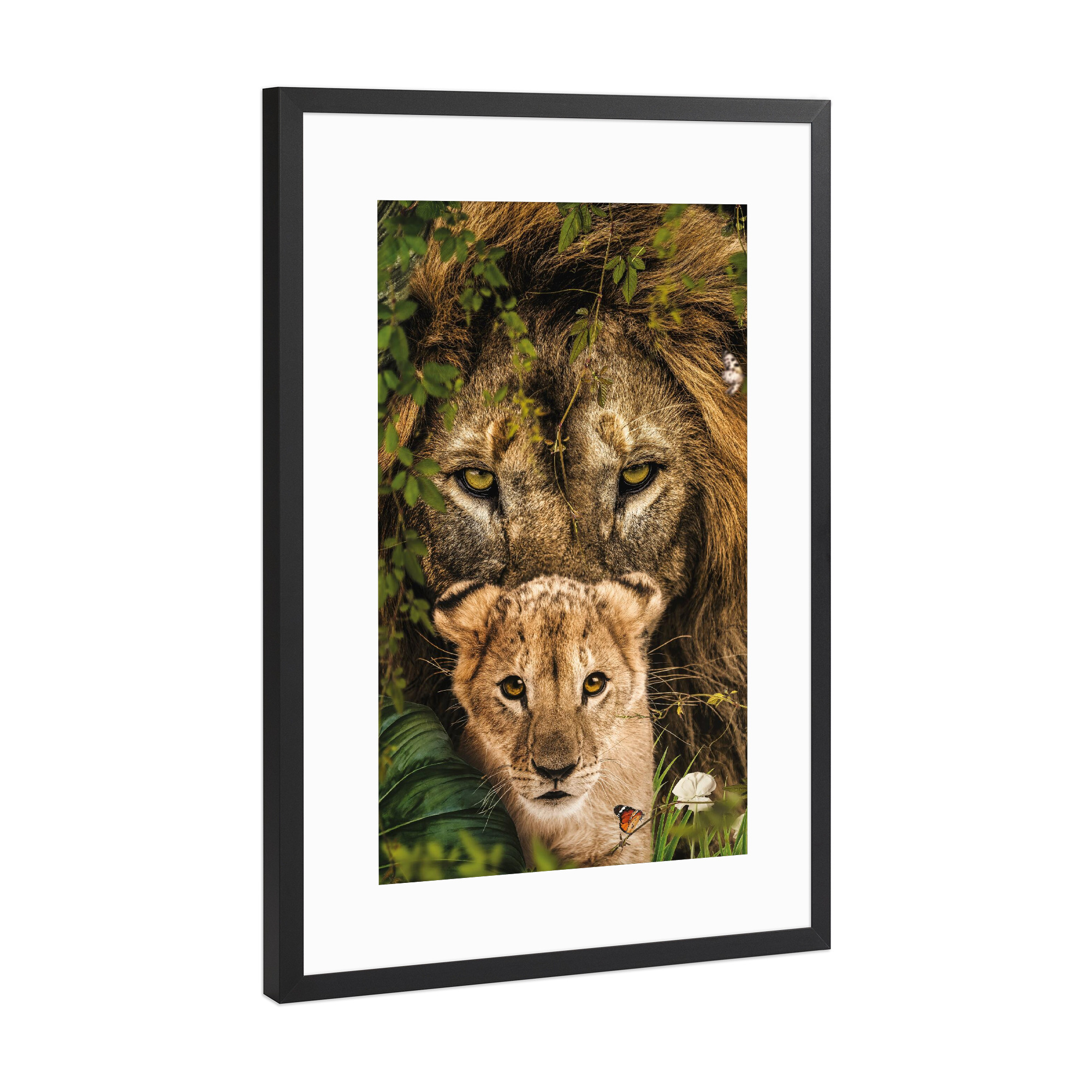 Poster mit Rahmen Schwarz (Metallic) "Löwe und Jungtier" artboxONE - Natur,Floral,Tiere