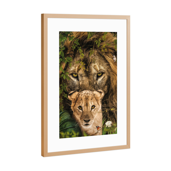 Poster mit Rahmen Kupfer "Löwe und Jungtier" artboxONE - Natur,Floral,Tiere