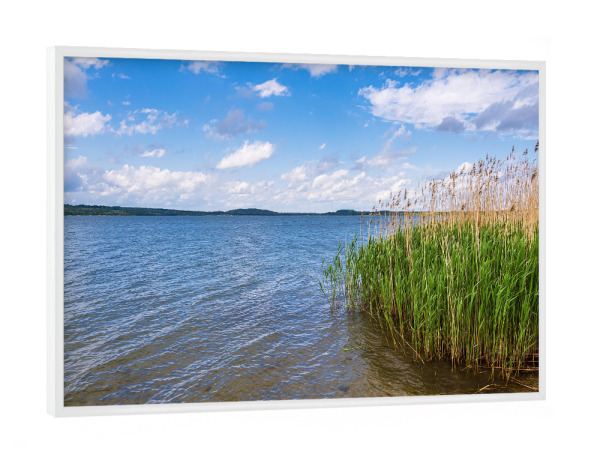 Poster mit weißem Rahmen "See, Schilf und Wolken" artboxONE - Natur,Reise