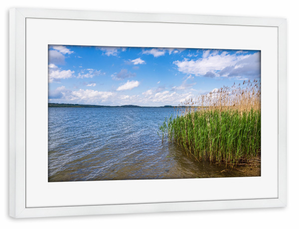 Poster mit Rahmen weiß "See, Schilf und Wolken" artboxONE - Natur,Reise