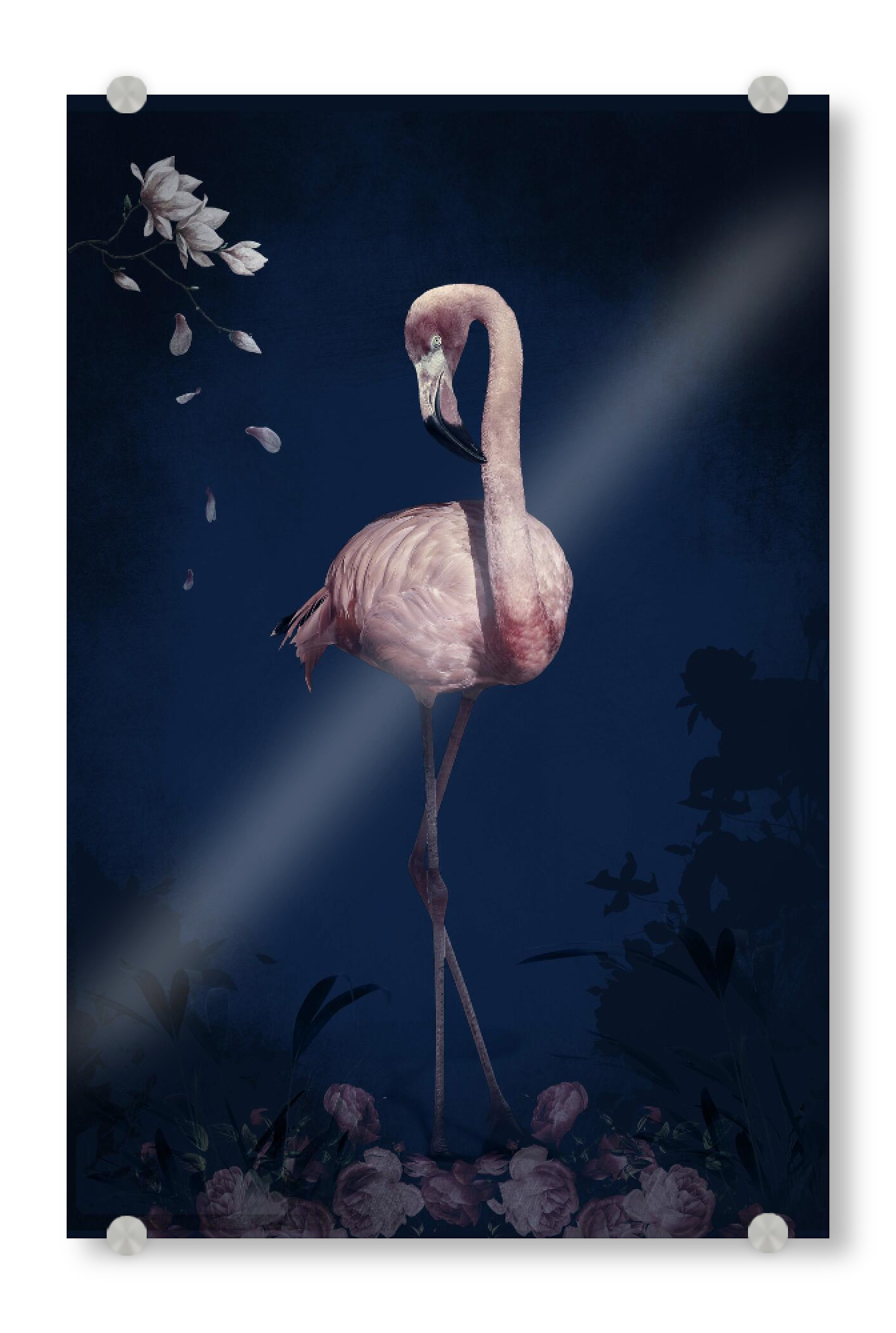 Acrylglasbild "Blumenflamingo" artboxONE - Natur,Floral,Tiere - Flamingo,Blumenflamingo,Rosa flamingo,Tier