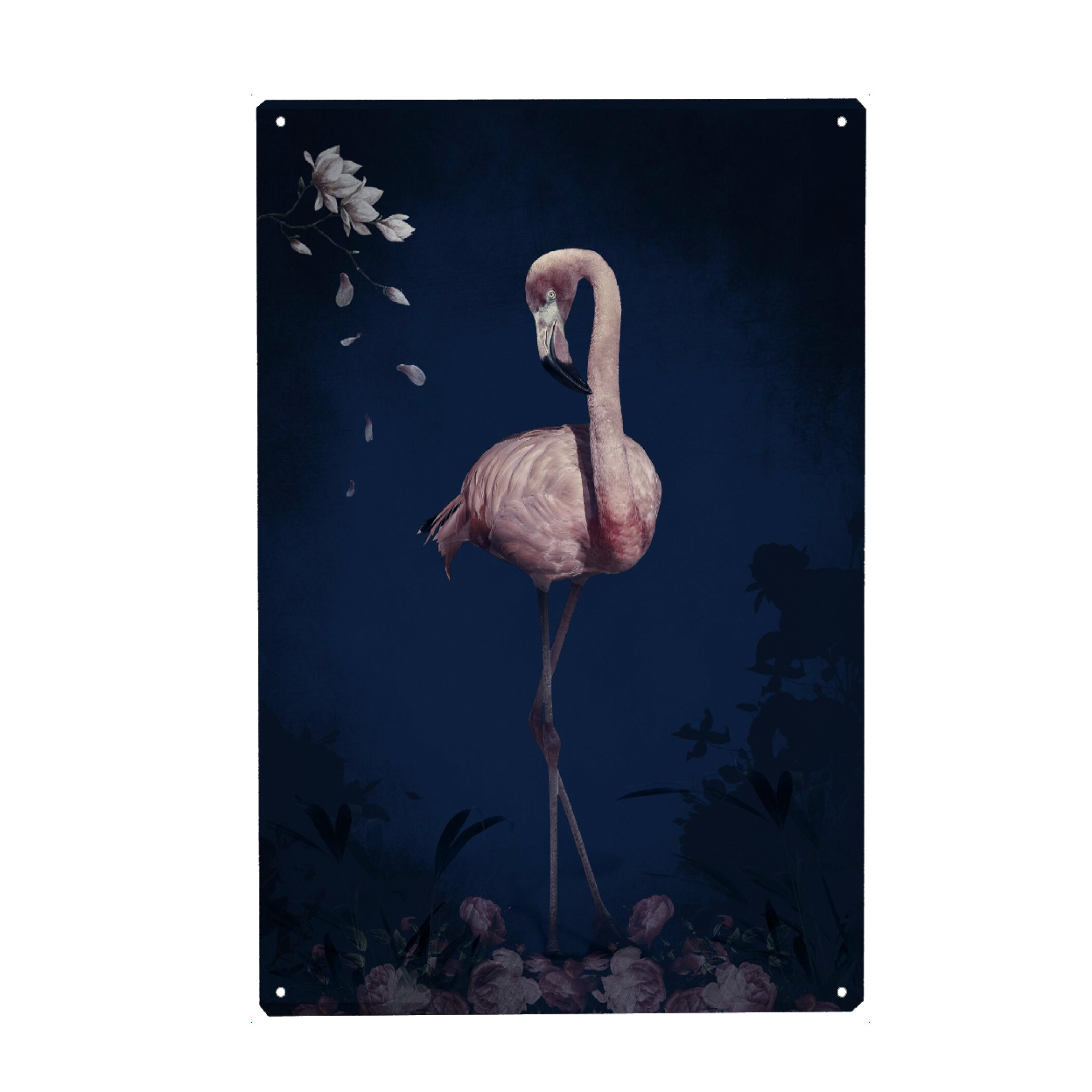 Metall Poster "Blumenflamingo" artboxONE - Natur,Floral,Tiere - Flamingo,Blumenflamingo,Rosa flamingo,Tier - Blechschild