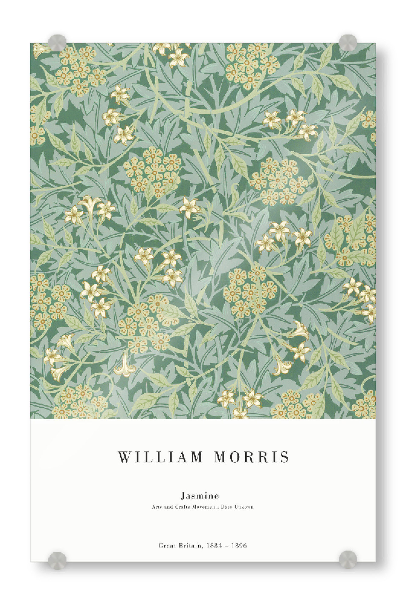 Acrylglasbild "William Morris - Jasmine" artboxONE - Natur,Floral - Blume,Blüte,Floral,Muster,Botanik,Morris,Kunstwerk,Malerei,Gemälde,Kunst