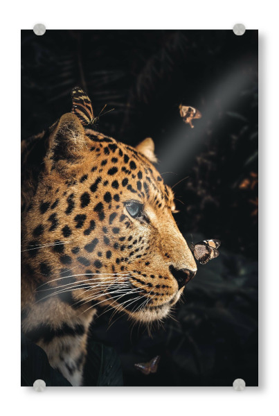 Acrylglasbild "Leopardenpaar links" artboxONE - Floral,Tiere - Leopard,Diptychon,Jaguar,Panther,Leopardenkopf,Dschungel,Portrait,Tier,Schmetterling