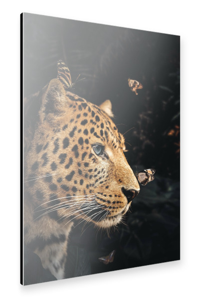 Alu-Dibond "Leopardenpaar links" 30x20 cm artboxONE