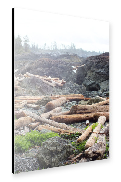 Alu-Dibond "The Wild Pacific Trail" 30x20 cm artboxONE