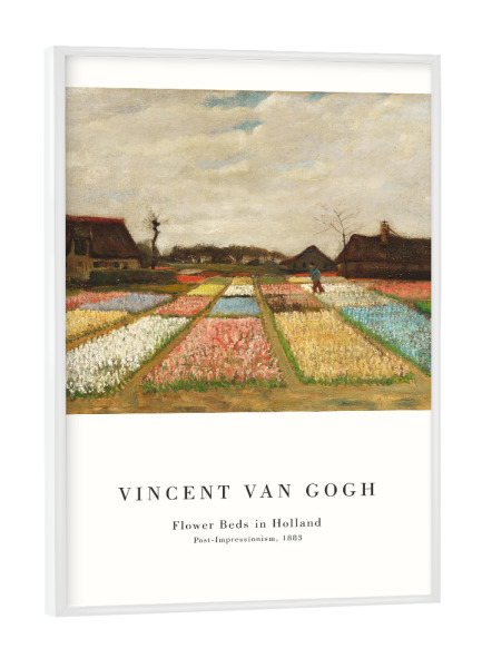 Poster mit weißem Rahmen "Van Gogh - Blumenbeete in Holland" artboxONE - Natur