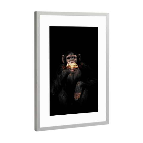 Poster mit Rahmen Silber "Monkey speaks no Evil" artboxONE - Tiere - Affe,Sprich nichts böses,Dunkler affe,Schimpanse,Schimpanse,Tier