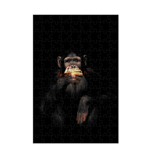 Monkey speaks no Evil