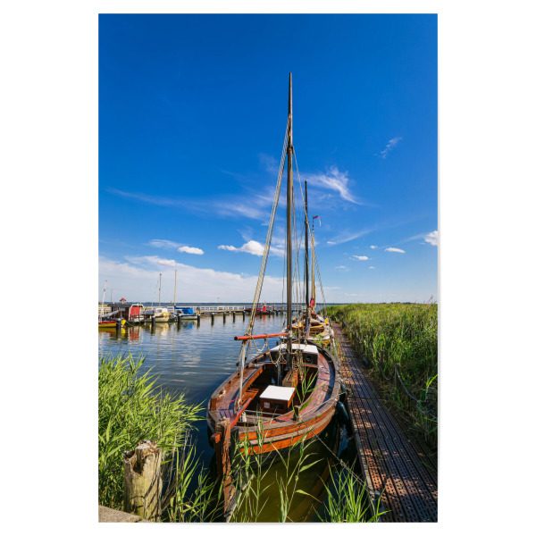 Poster "Schilf, Steg, Segelboot" artboxONE - Natur,Reise,Reise / Strand und Meer