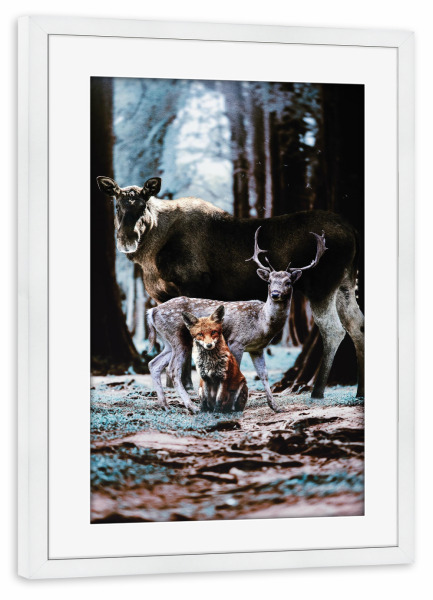 Poster mit Rahmen weiß "Waldtiere" artboxONE - Natur,Floral,Tiere - Hirsch,Elch,Fuchs,Waldtiere,Elche,Tiergruppe,Tiere,Wald,Natur